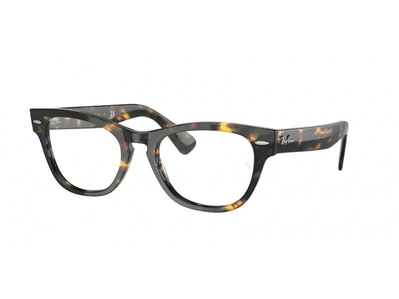   Ray - Ban RX2201V LARAMIE 8116